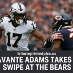 Davante Adams Takes a Swipe at the Bears