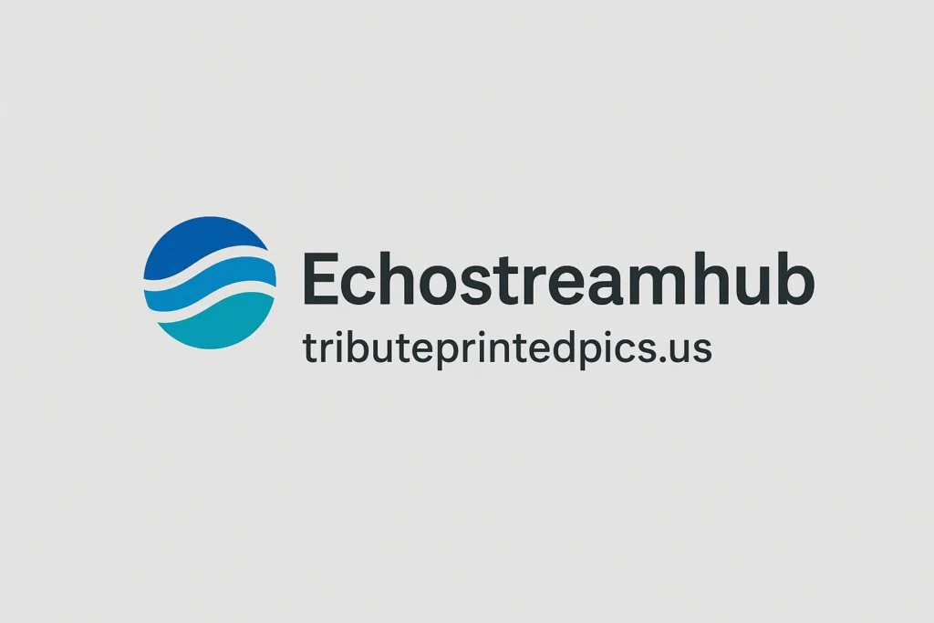 Echostreamhub