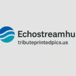 Echostreamhub