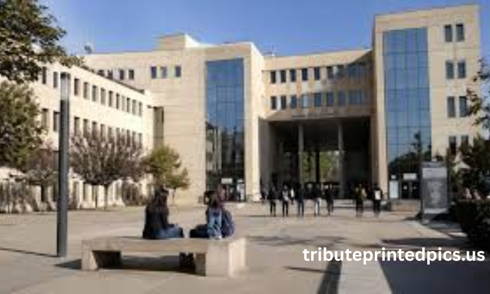 centro politecnico superior