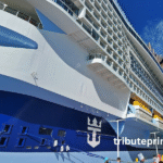 royal caribbean passenger falls pier