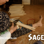 sagerne