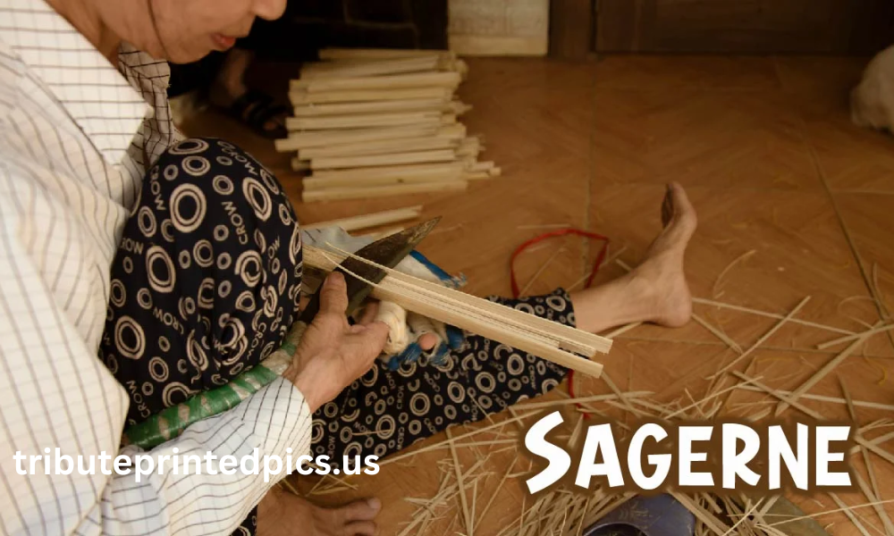 sagerne